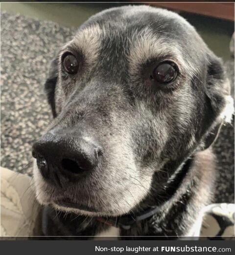 Our old pal
