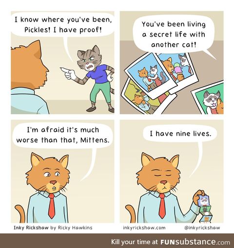 Tom cat