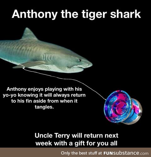 No Terry This Week