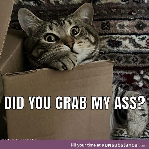 Did you?