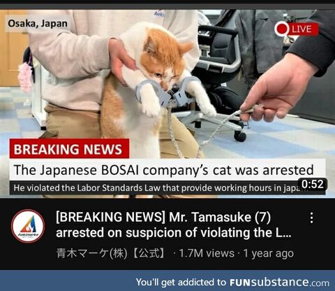 Free him. He was set up