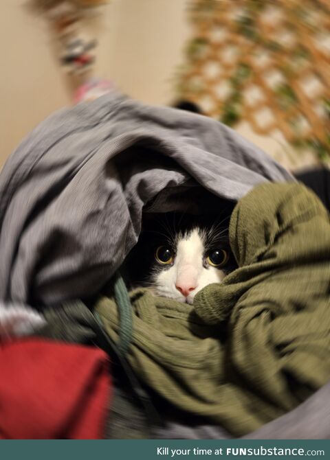 Laundry boy
