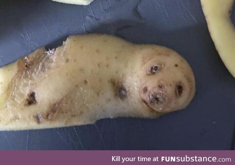 Seal potato