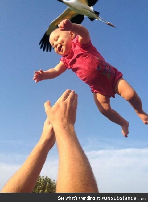Perfectly timed pics