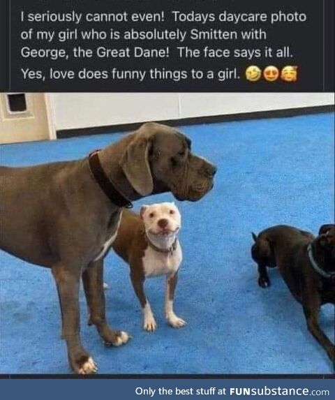 Get you someone that will look at you like this pup…