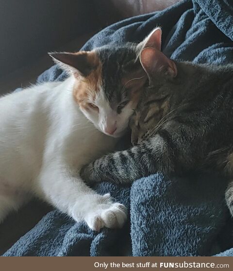 Sisterly 