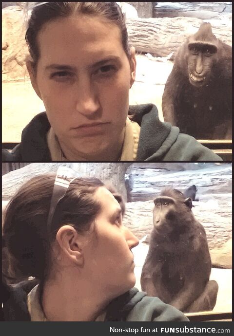 A zookeeper being mocked