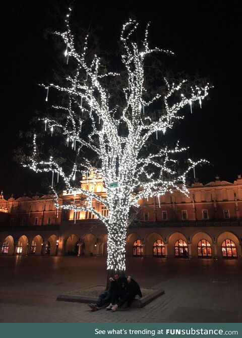 The aftermath of a night of heavy drinking in the empty Christmas market of Krakow