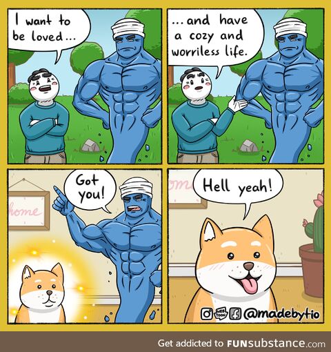 Dog life = best life