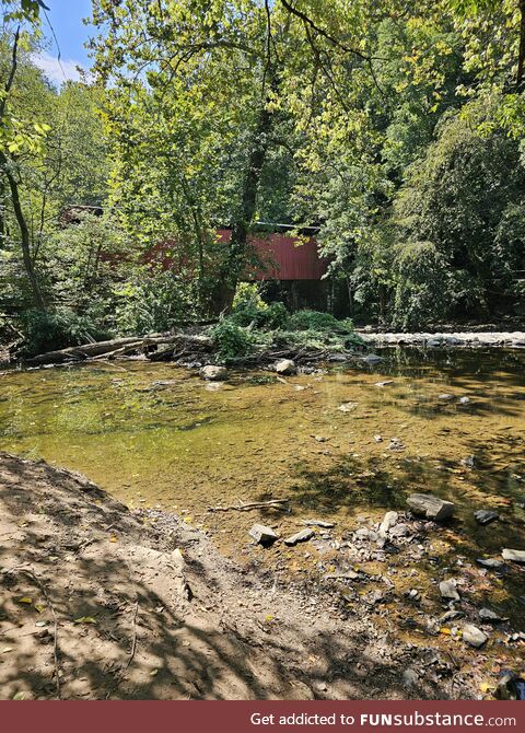 Old red Bridge in the woods