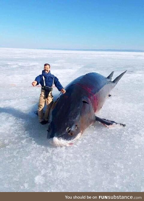 When fishing always bring an action figure
