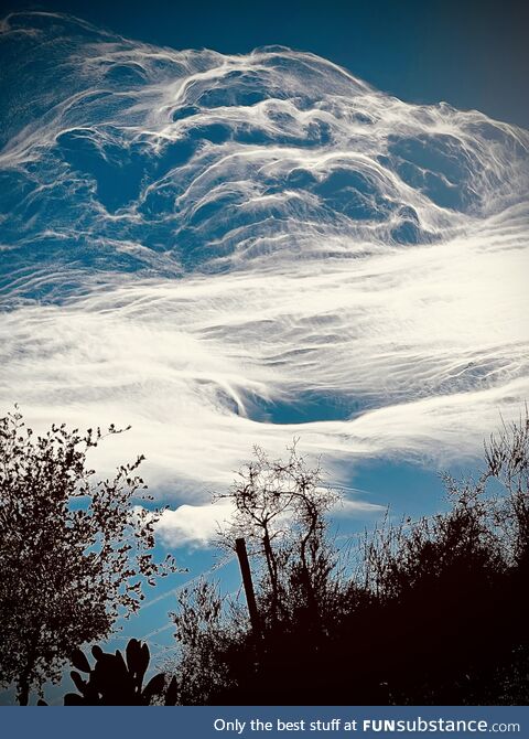 Natural beauty