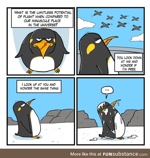 Philosophical thinking meets reality [oc]