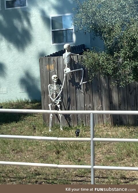 Two skeletons hopping a fence