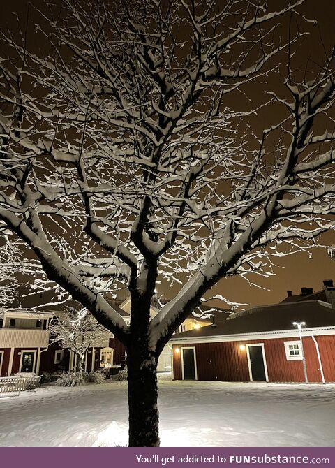 Snow 