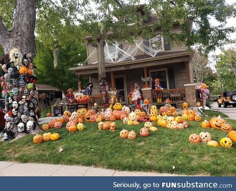 Where ceramic pumpkins should live ???? ???? ????