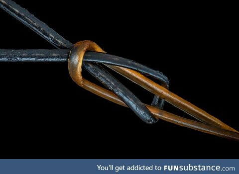 I photographed me and my boyfriends hair tied in a square knot