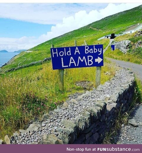 Mental Health services in Ireland are some of the best in the world