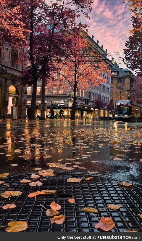 After the rain