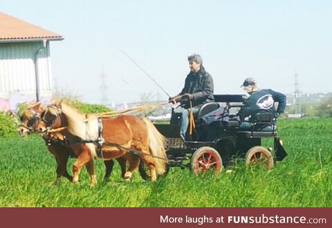 Pony express (oc)