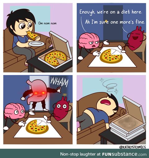 The stomach handles 97% of all decisions made