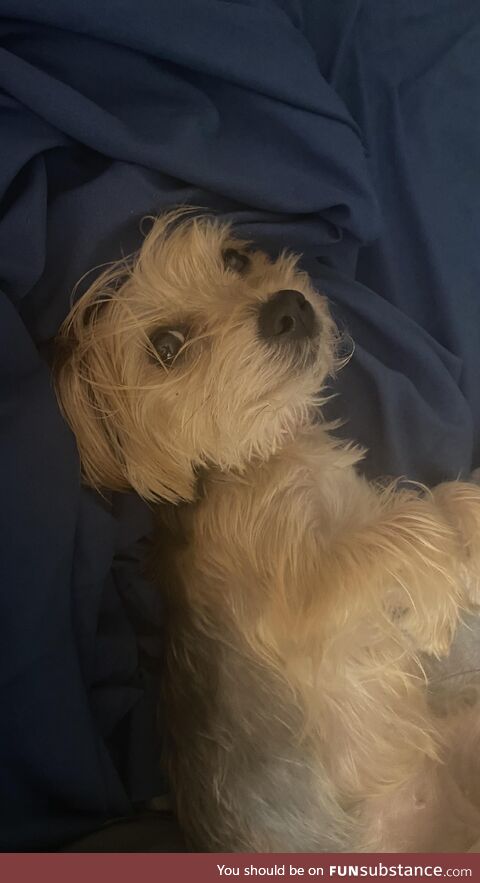 Look at this smile