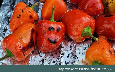 This pepper seemed abnormally happy to be on my grill