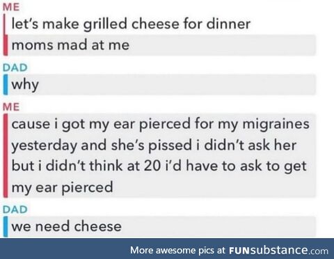Cheese gromit