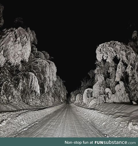 Our road in Moose Meadows, Alaska at night after a storm
