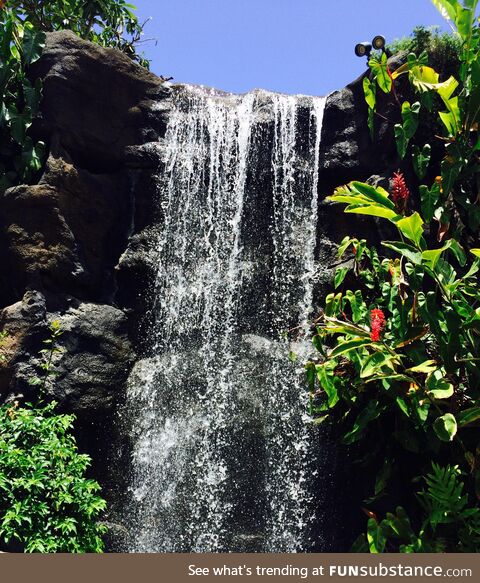 Hawaiian waterfall