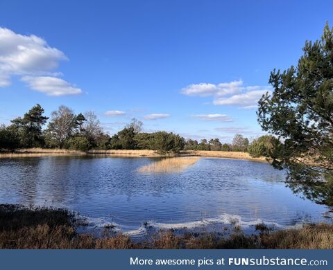 Secret little lake in the Netherlands [OC]