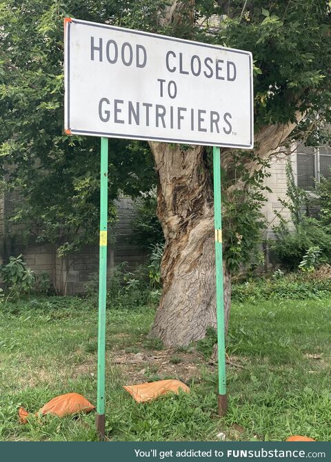 [OC] Spotted in Midtown Detroit, a neighborhood that has been thriving for many years