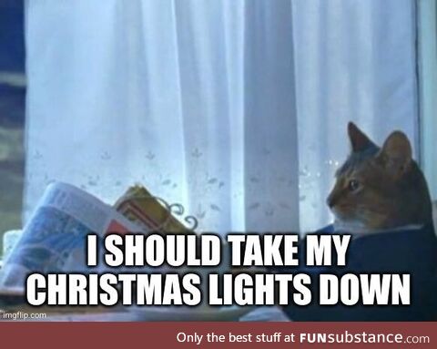 It's February 2nd, Groundhog Day