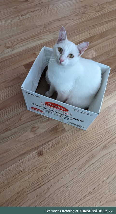 Look what came in the mail today. A box