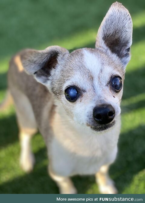 Godspeed good boy. Sam