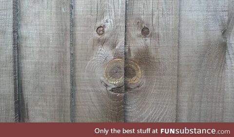 Happy wood pig