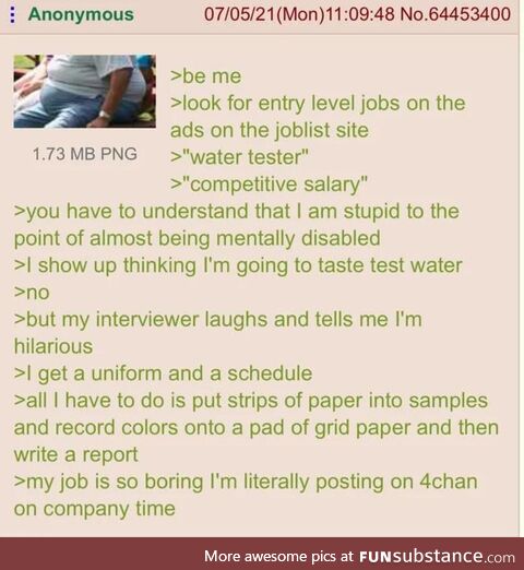 Anon gets a Job