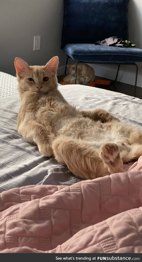 What are you looking at?