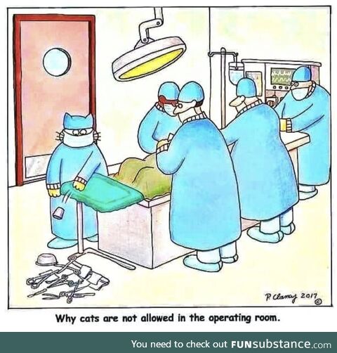 And Cuz they bring their own scissors