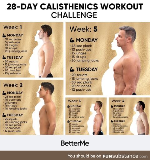 Try to follow the 28-day Calisthenics challenge from BetterMe. Right in your own