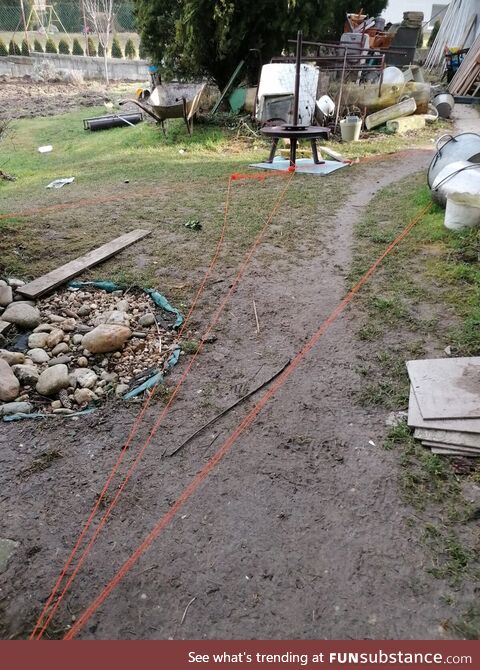 Dog found ball of red string and started running around house