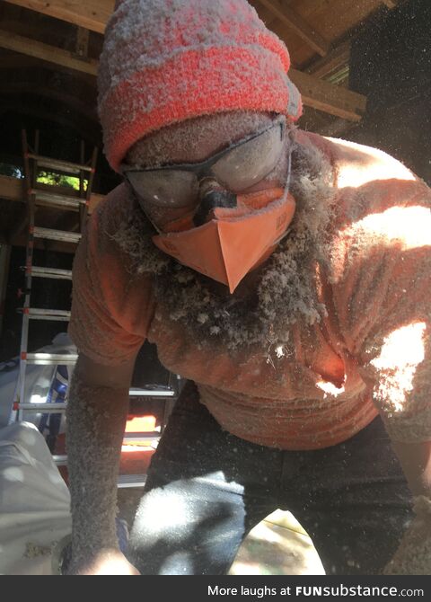 Did some blow in insulation and wound up a frosted penguin