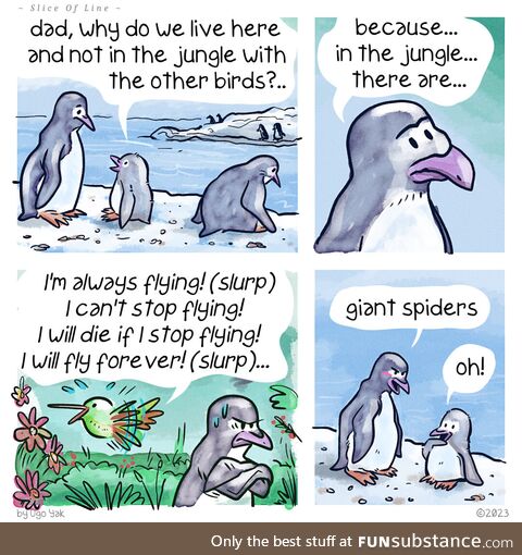#10 - Migration