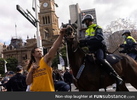 Idiot punching a horse at an anti-lockdown rally in Sydney