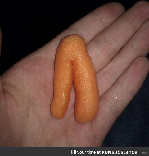 Carrot pants