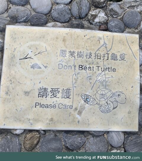 …who’s beating the turtles?