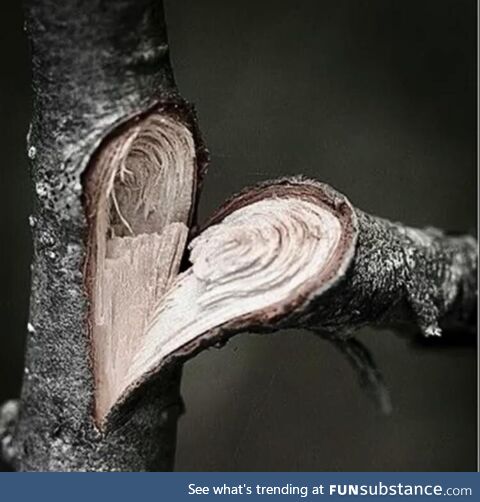 Just a broken heart