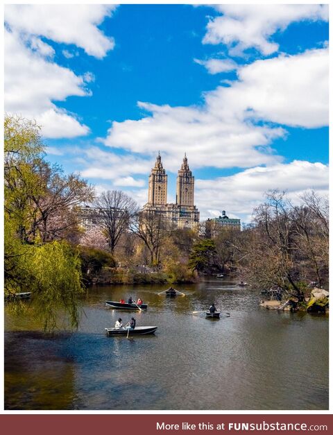 Fox News says that NYC is a Third-World hellhole. They’re right. We still travel by row