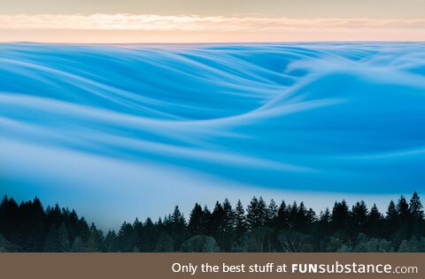 From our very own Mount Tam. Conditions were perfect. Been chasing this shot for a while
