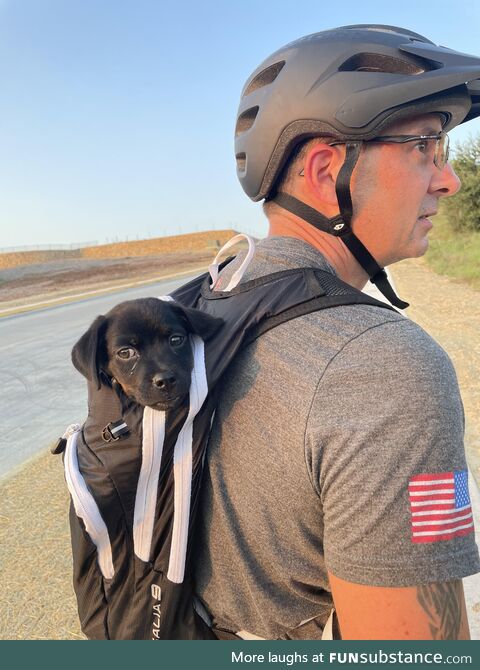 Found a pup on mountain bike trail